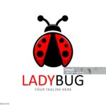 I ORGANISE ME HOME LADYBUG