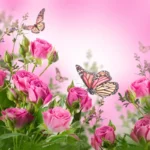 Lady Sandrine Butterfly Delicate Roses butterfly floral background PARIS.FR